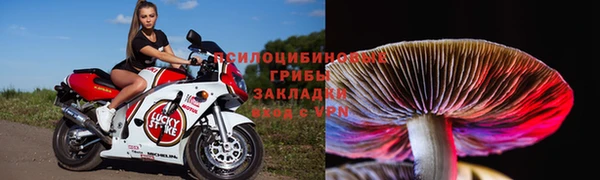 2c-b Алзамай