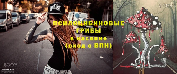 2c-b Алзамай