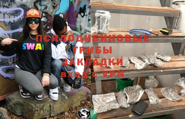 молекула духа Алексин