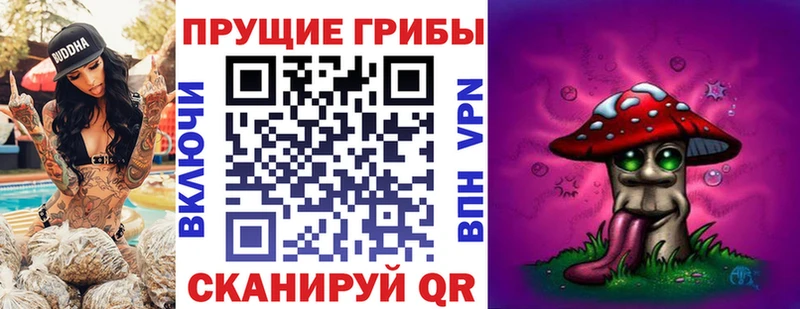 Галлюциногенные грибы Magic Shrooms  Павловская 